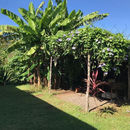 Les Hibiscus Villa Ambondrona  Ngoại thất bức ảnh